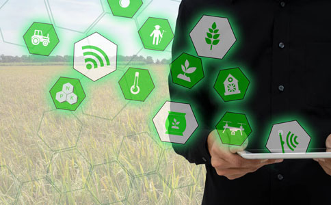 智慧农业是什么，以及它如何改变农业