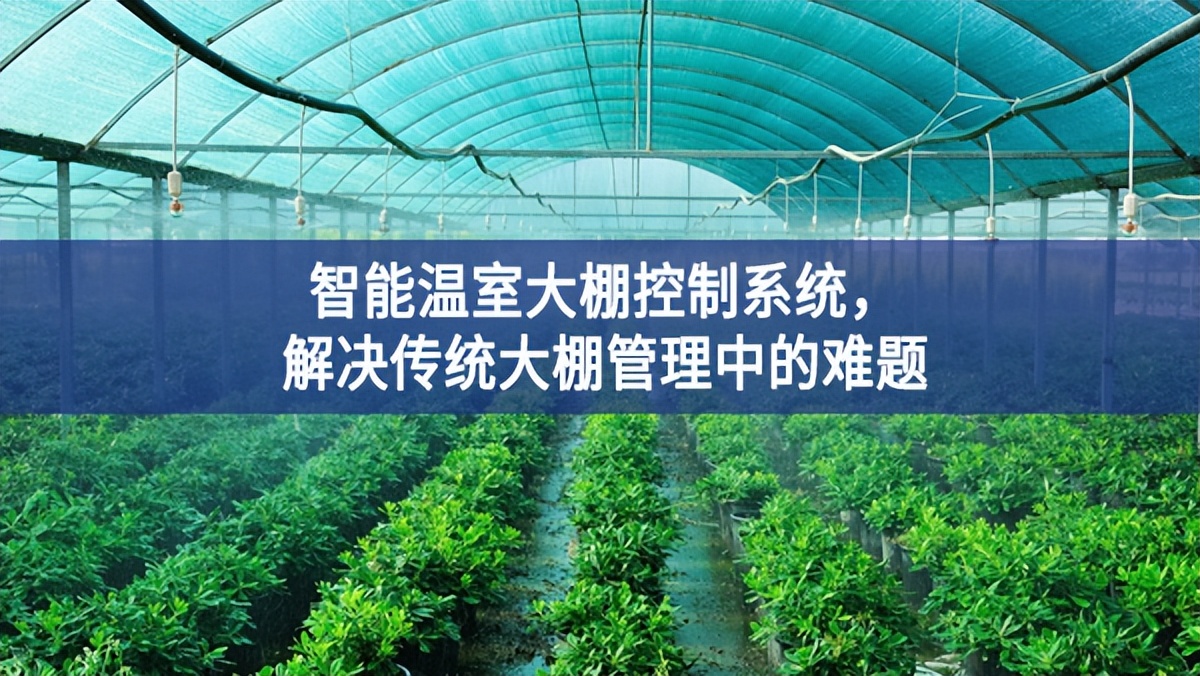 智能温室大棚控制系统，解决传统大棚管理中的难题