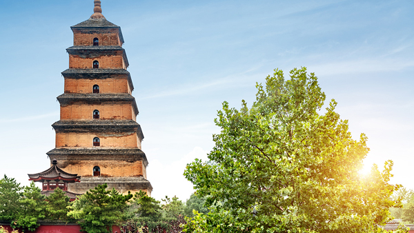 使用可持续建筑技术推动变革