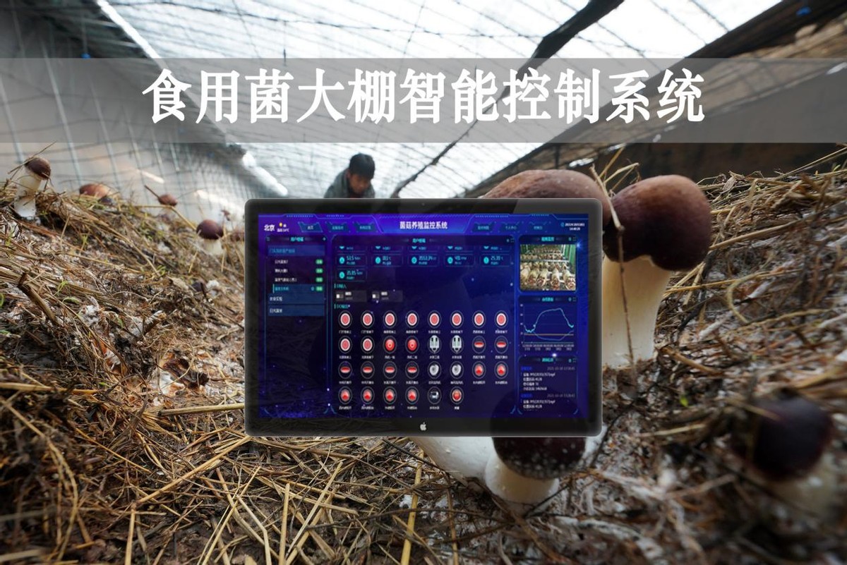 食用菌大棚智能控制系统