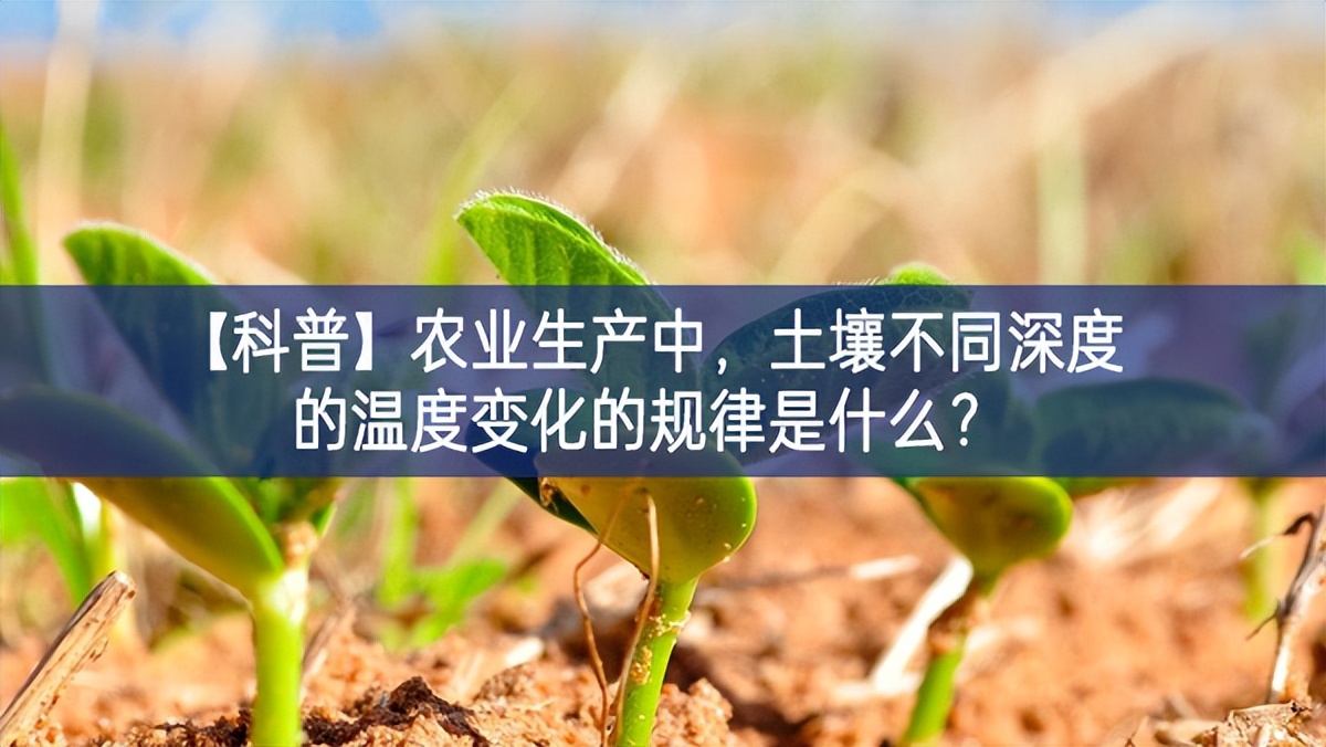 【科普】农业生产中，土壤不同深度的温度变化的规律是什么？