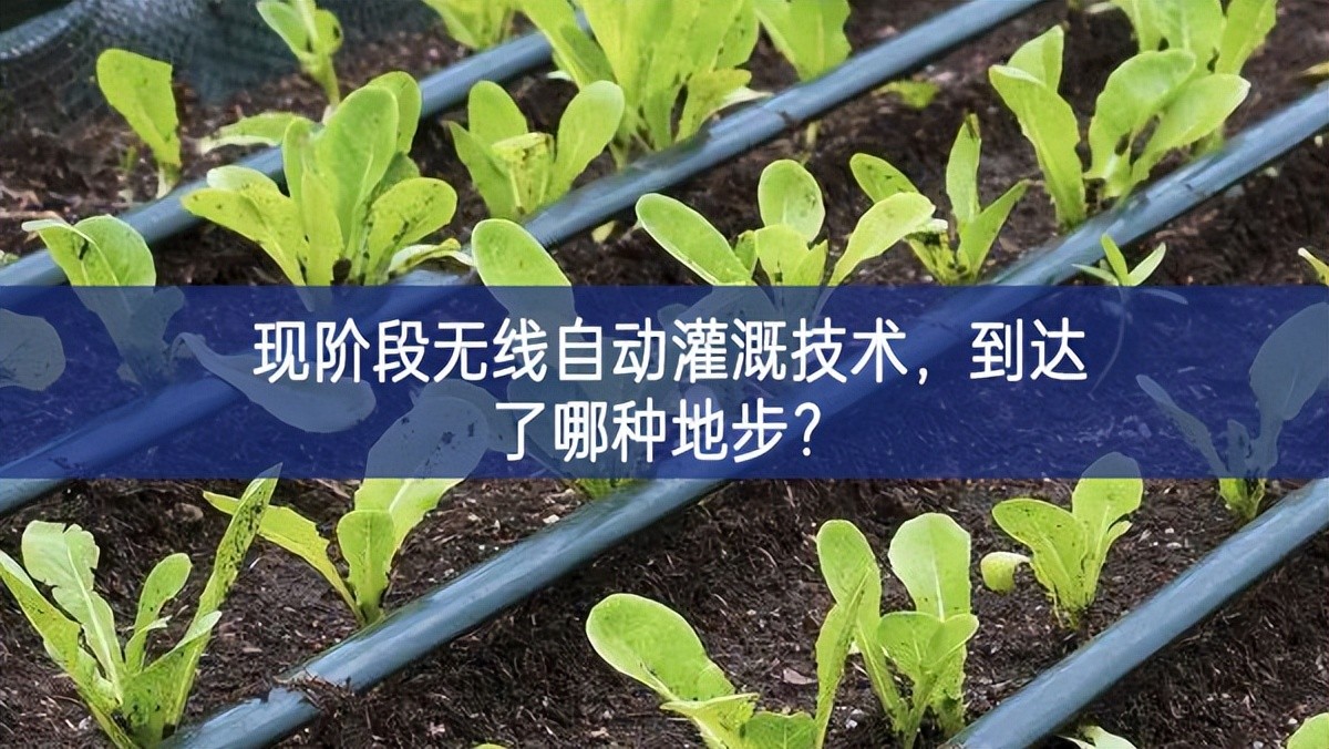 现阶段无线自动灌溉技术，到达了哪种地步？