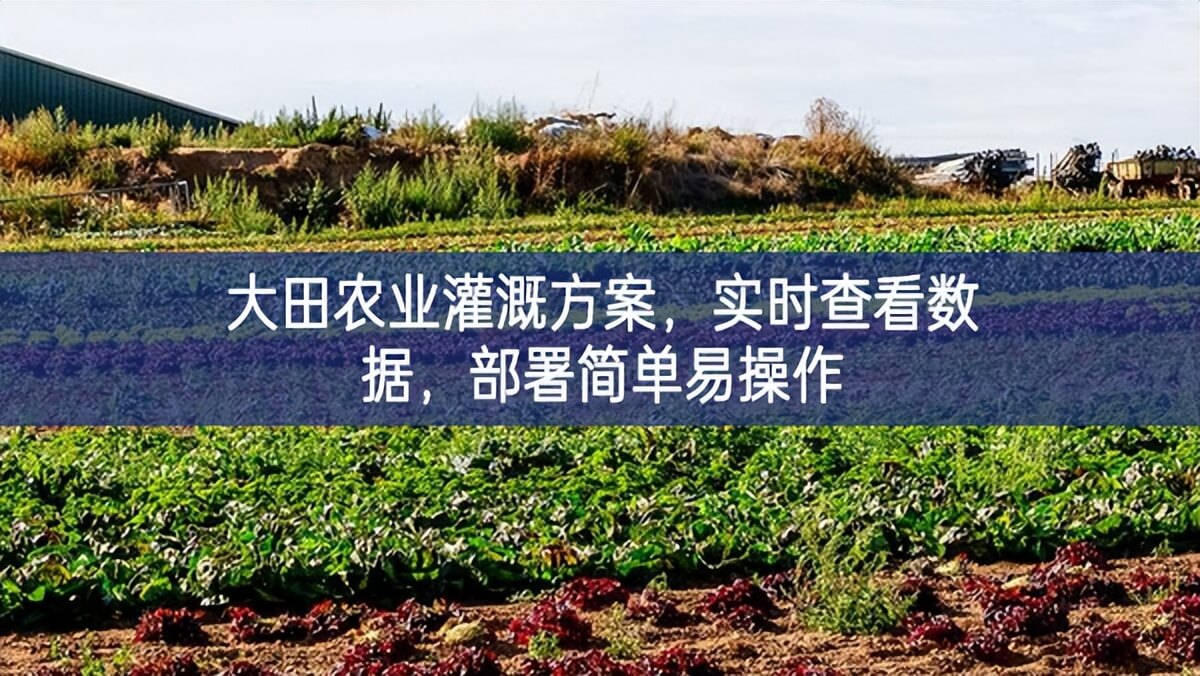 大田农业灌溉方案，实时查看数据，部署简单易操作