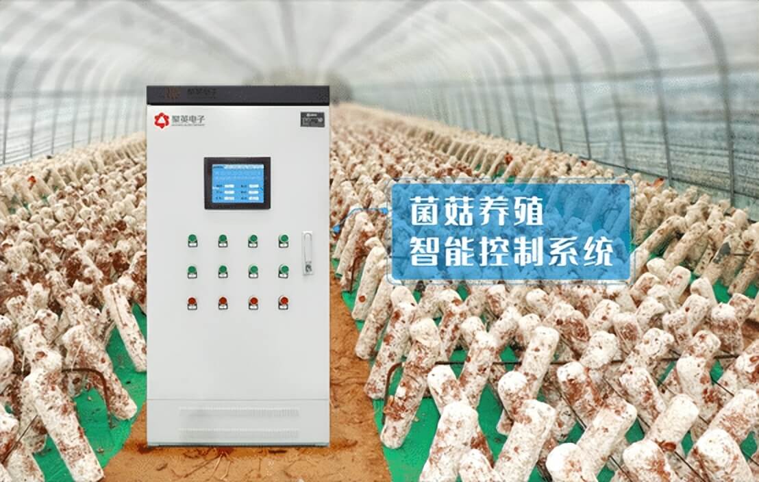 菌菇房智能控制系统解决方案