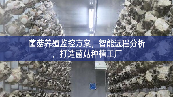 菌菇养殖监控方案，智能远程分析，打造菌菇种植工厂