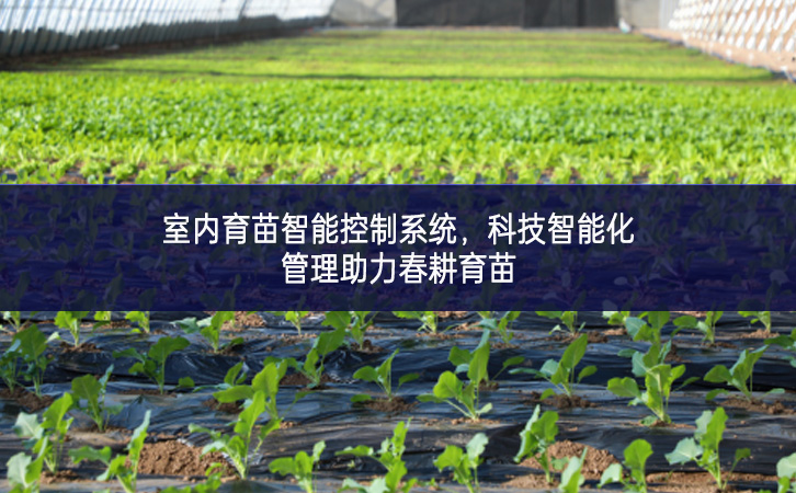 室内育苗智能控制系统，科技智能化管理助力春耕育苗
