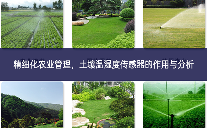 精细化农业管理，土壤温湿度传感器的作用与分析