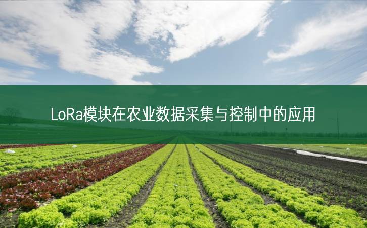 LoRa?？樵谂┮凳莶杉肟刂浦械挠τ? width=