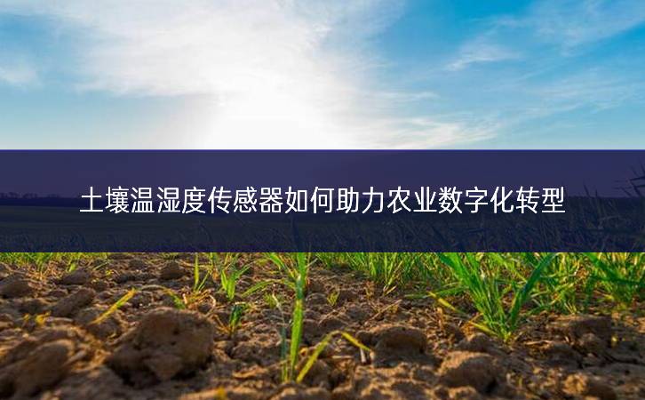 土壤温湿度传感器如何助力农业数字化转型 土壤温湿度传感器如何助力农业数字化转型