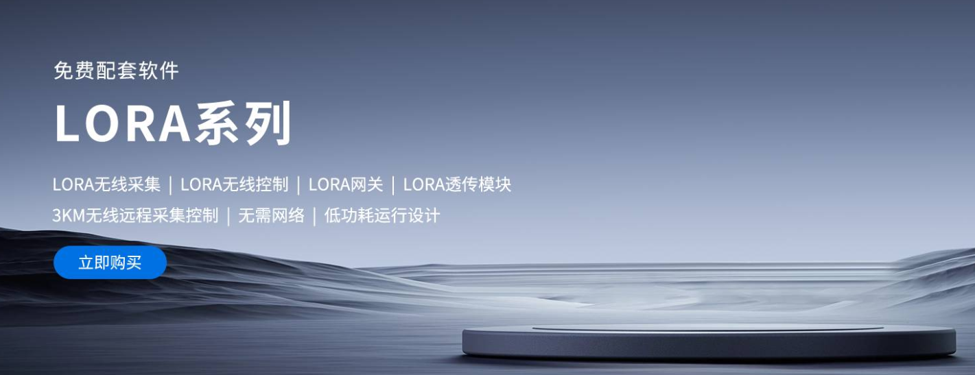 LORA系列 LORA系列