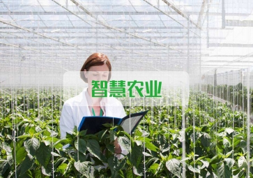 春雷一声 惊蛰到，聚英智慧农业系统助力农业春耕