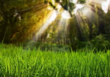 什么是光照度传感器？