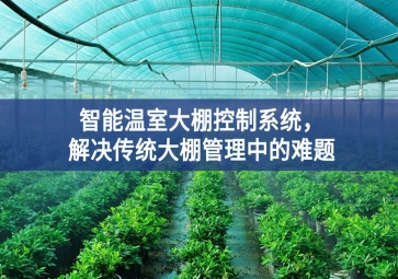 「智慧农业」智能温室大棚控制系统，解决传统大棚管理中的难题
