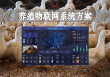 「智慧养殖」数字经济时代到来，养殖物联网系统方案来了