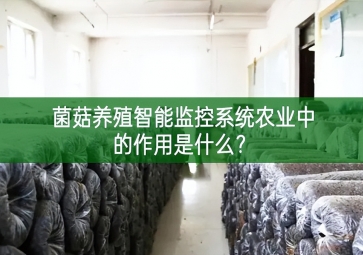 「智慧养殖」菌菇养殖智能监控系统在农业中的作用是什么？
