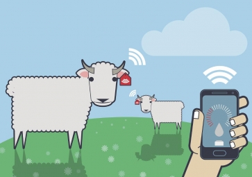 物联网如何保证食品安全？