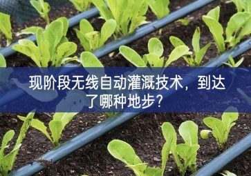 现阶段无线自动灌溉技术，到达了哪种地步？