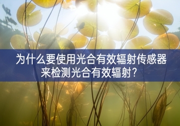 为什么要使用光合有效辐射传感器来检测光合有效辐射？
