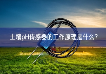 土壤pH传感器的工作原理是什么？