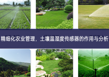 精细化农业管理，土壤温湿度传感器的作用与分析