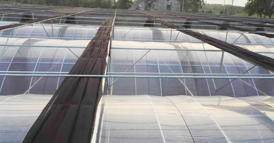 薄膜连栋温室大棚监控系统